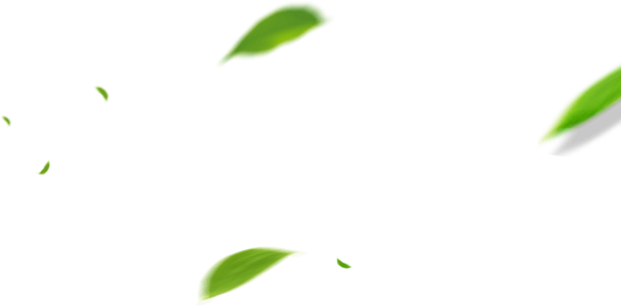 鑄鼎機(jī)械工程案例